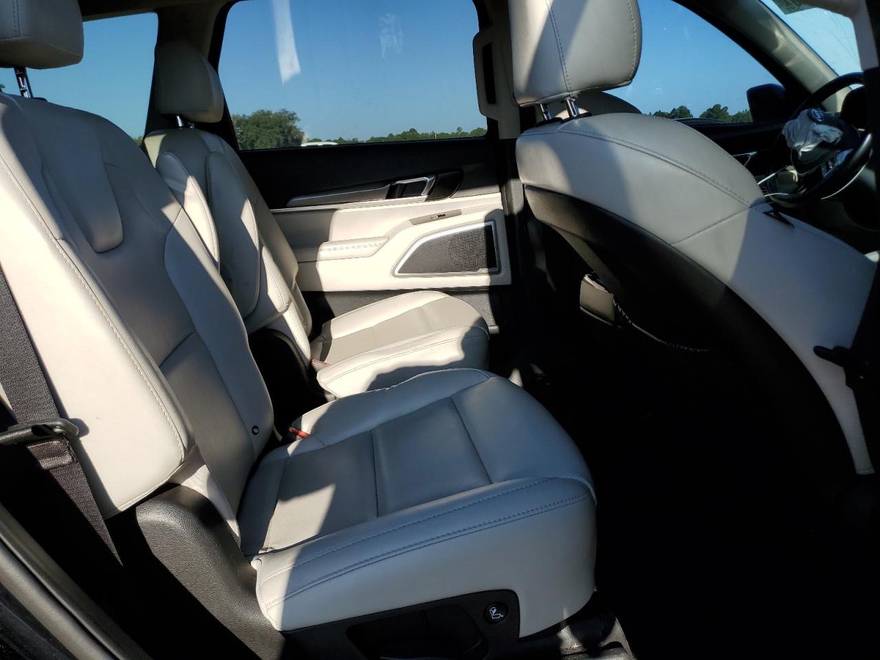 2020 Kia Telluride S VIN: 5XYP6DHC4LG064527 Lot: 80560705