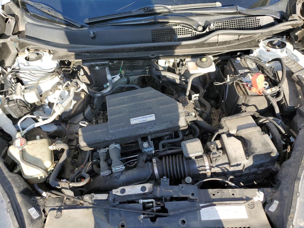 2019 Honda Cr-V Ex VIN: 7FARW2H53KE003839 Lot: 81800745