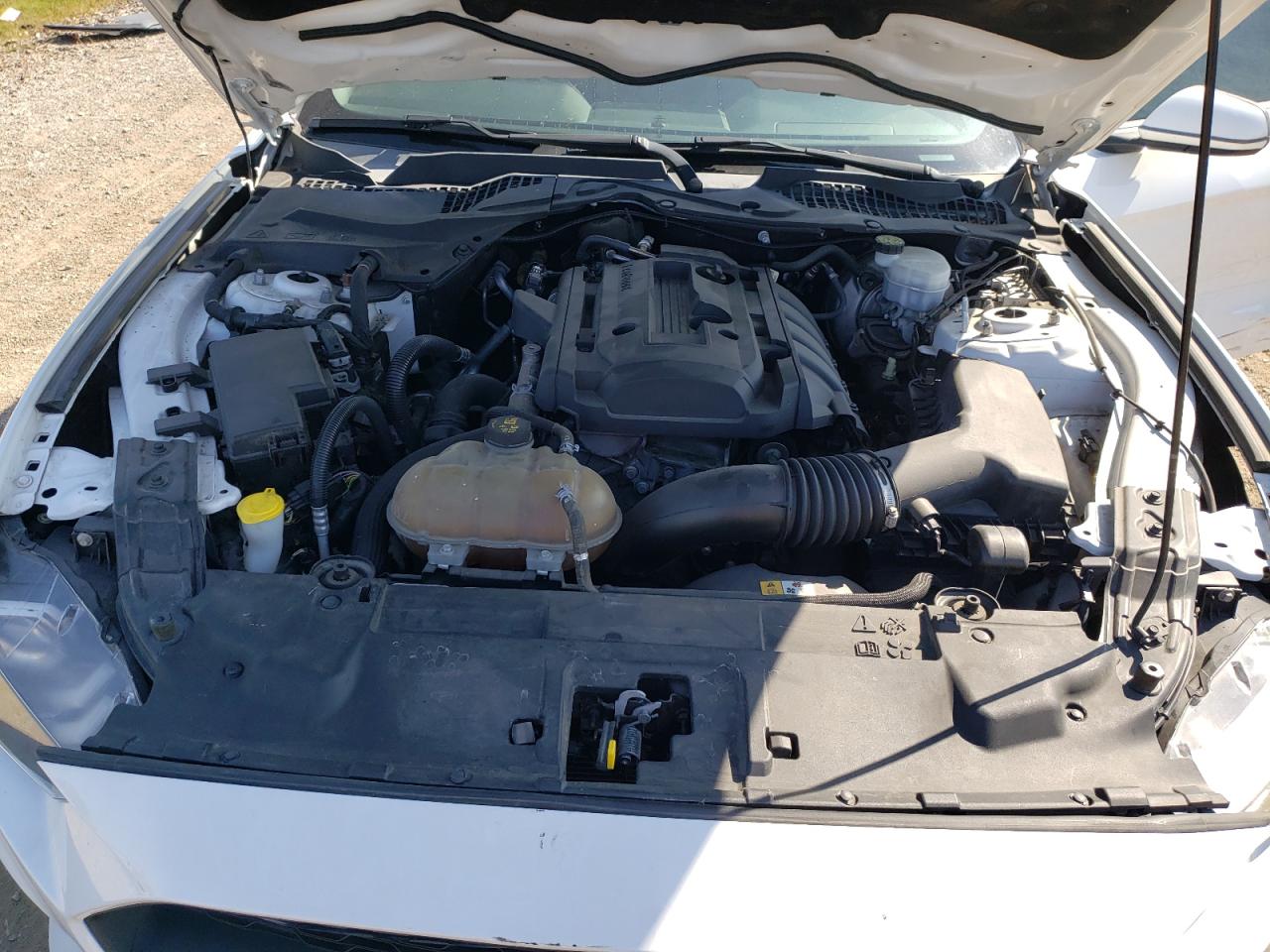 2018 Ford Mustang VIN: 1FA6P8TH4J5127267 Lot: 80652055