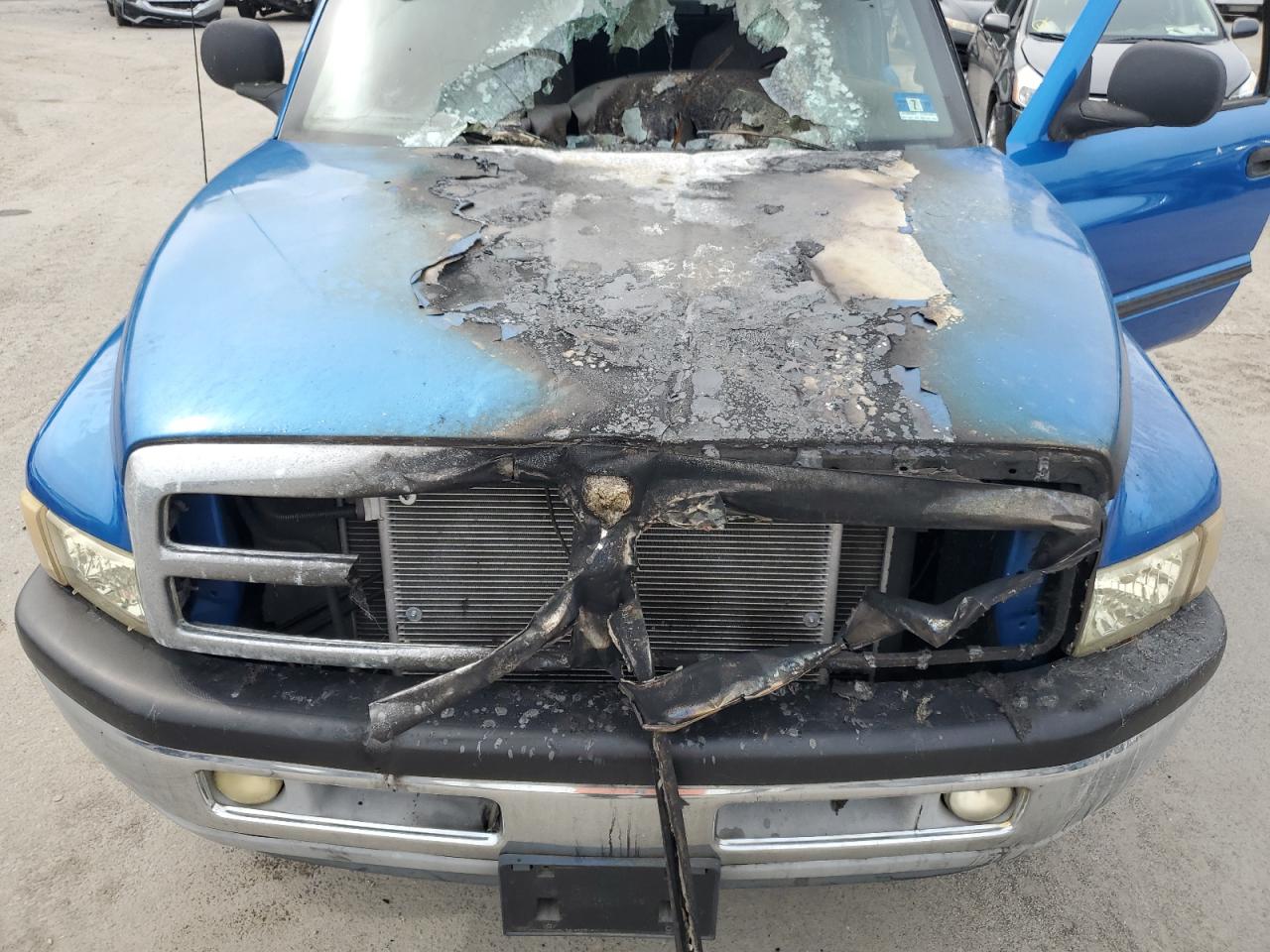 2000 Dodge Ram 1500 VIN: 1B7HF13YXYJ147313 Lot: 84418125