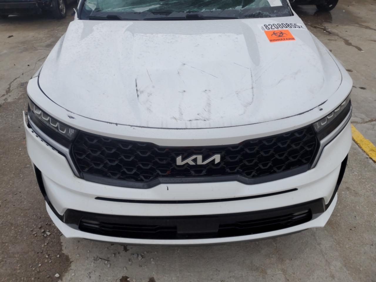 2023 Kia Sorento Ex VIN: 5XYRH4LF0PG205037 Lot: 82080855