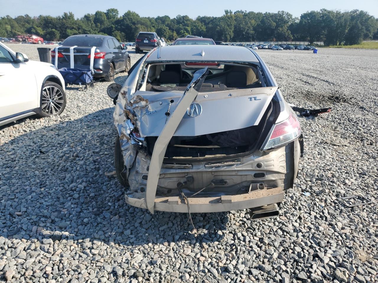 2010 Acura Tl VIN: 19UUA8F5XAA018003 Lot: 80687955