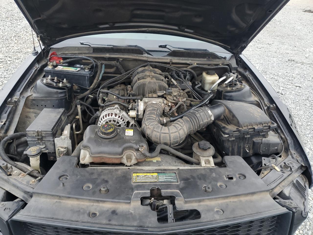 2008 Ford Mustang VIN: 1ZVHT80N785205105 Lot: 81835755