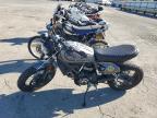 2023 DUCATI SCRAMBLER DESERT SLED   for sale at Copart CA - MARTINEZ