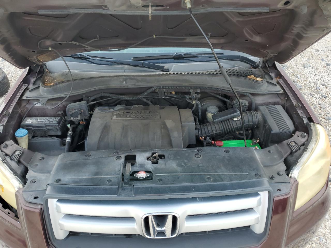 2007 Honda Pilot Exl VIN: 5FNYF28617B032263 Lot: 80145605