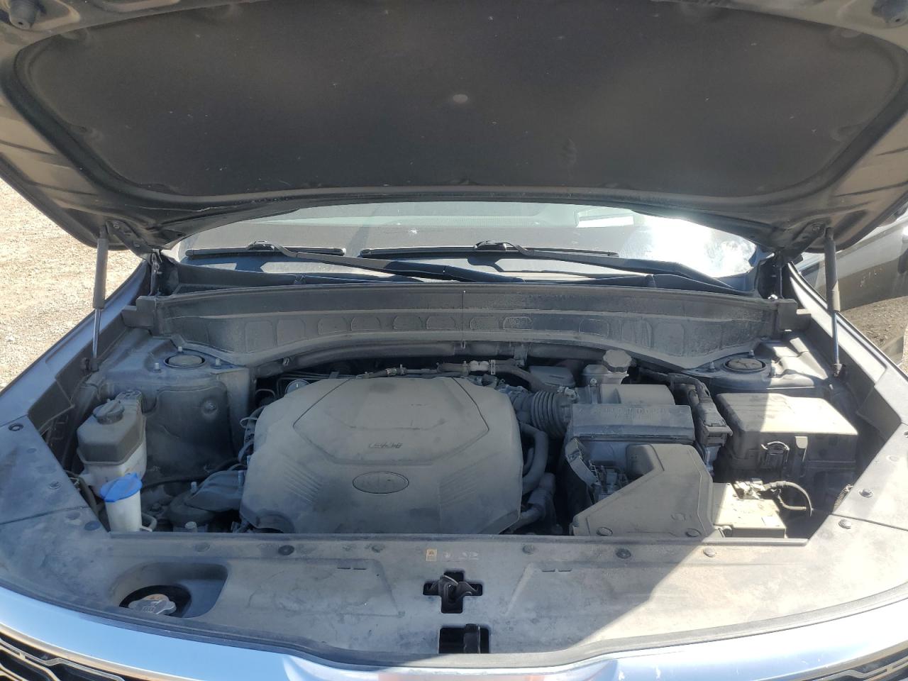 2021 Kia Telluride Sx VIN: 5XYP5DHC4MG144608 Lot: 71183285