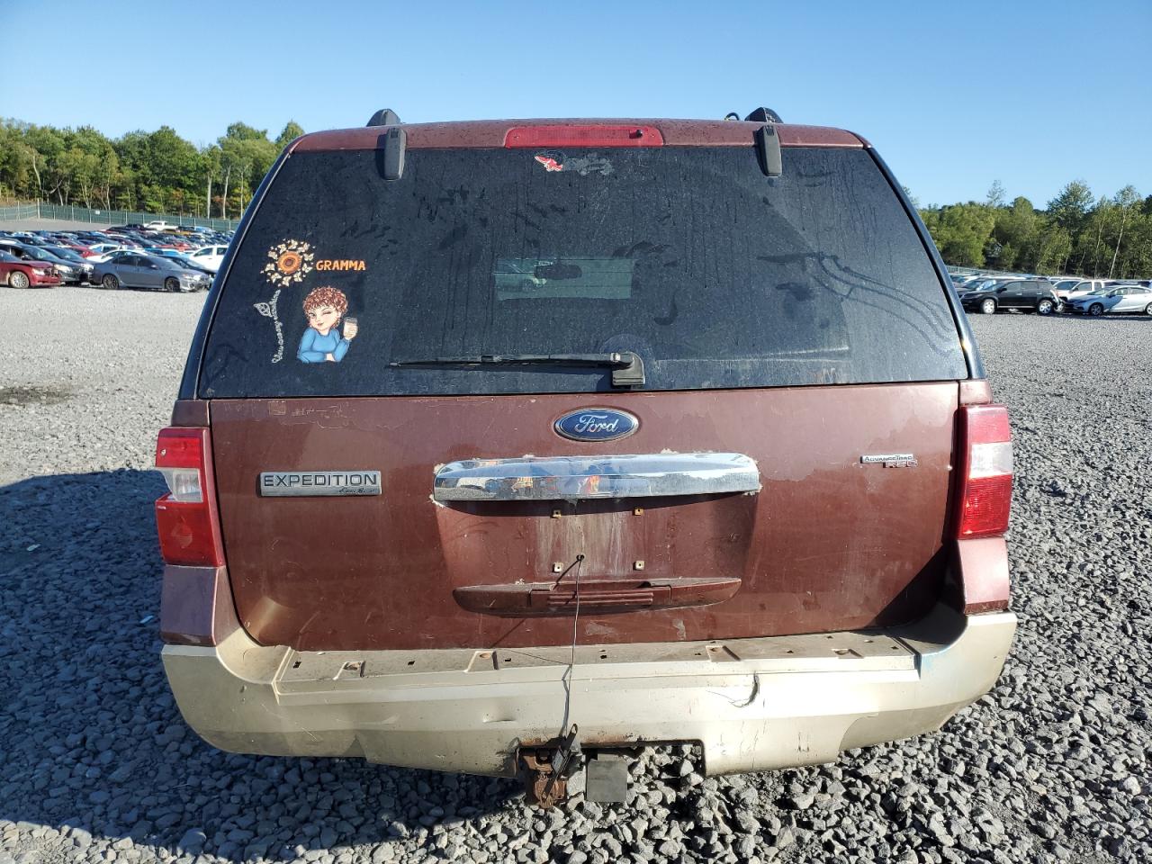 2007 Ford Expedition Eddie Bauer VIN: 1FMFU185X7LA35766 Lot: 80825235