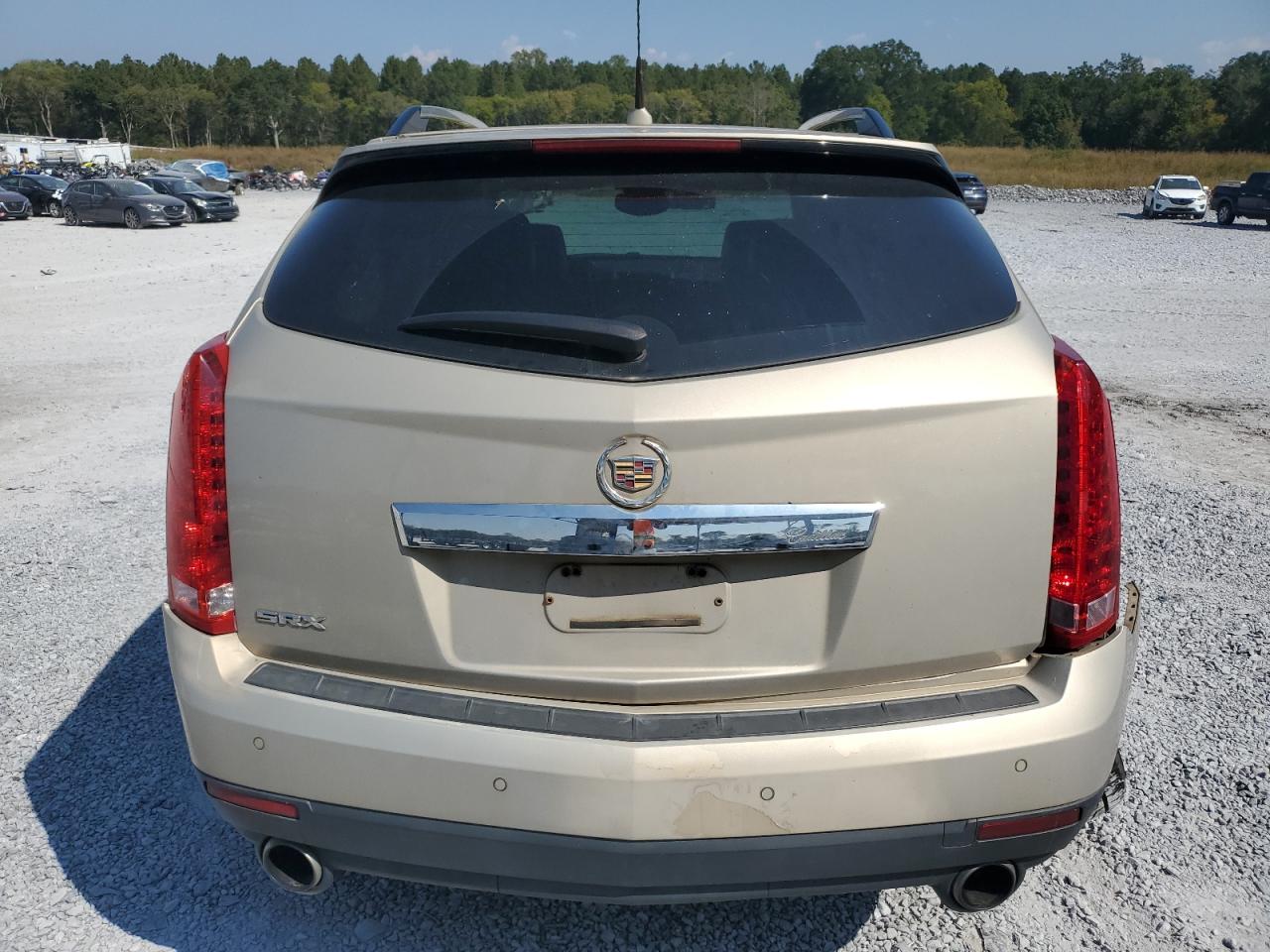2010 Cadillac Srx Luxury Collection VIN: 3GYFNAEY4AS510596 Lot: 81322505