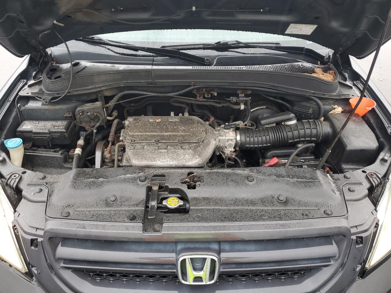 2008 Honda Pilot Exl VIN: 2HKYF18505H501620 Lot: 83771285