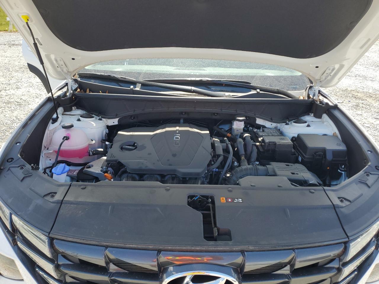 2024 Hyundai Tucson Sel VIN: 5NMJF3DE9RH433937 Lot: 81443895