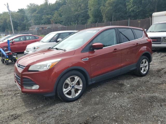 Паркетники FORD ESCAPE 2016 Красный