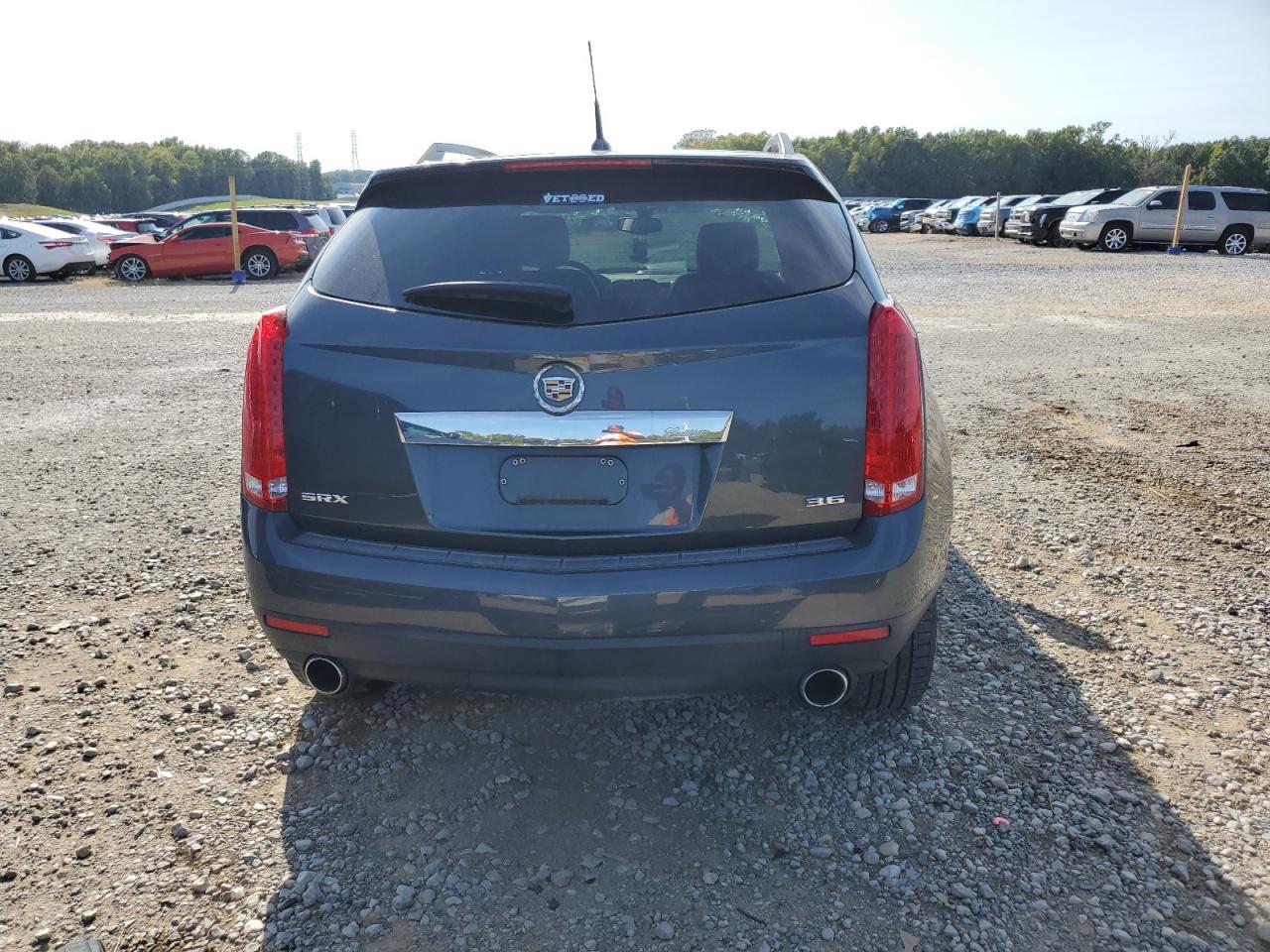 2013 Cadillac Srx VIN: 3GYFNAE36DS603676 Lot: 71913975