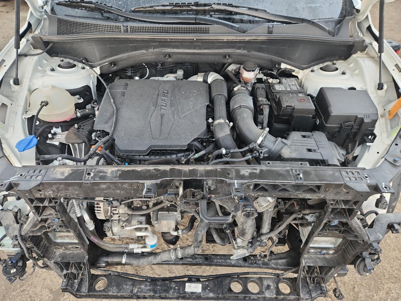 2022 Hyundai Santa Fe Calligraphy VIN: 5NMS5DAL4NH450252 Lot: 81067495