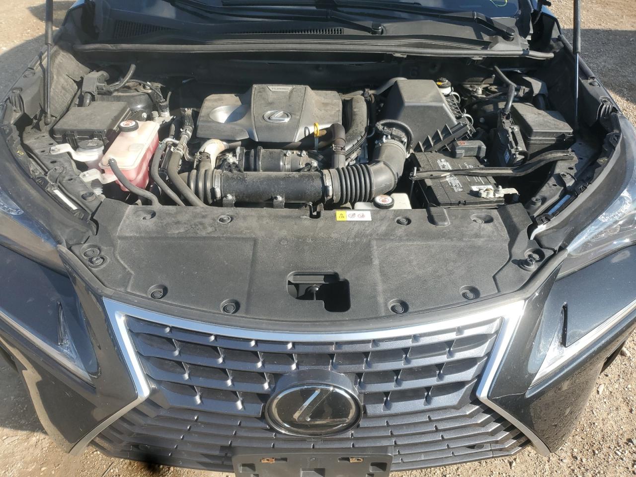 2018 Lexus Nx 300 Base VIN: JTJBARBZ1J2162079 Lot: 82080805