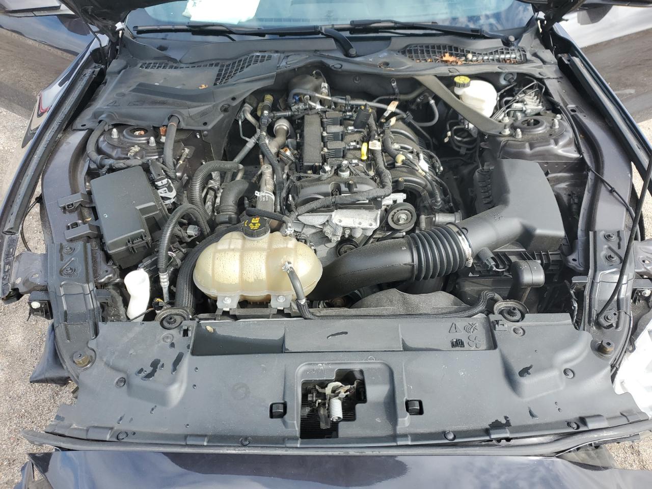 2022 Ford Mustang VIN: 1FATP8UHXN5115535 Lot: 81714915