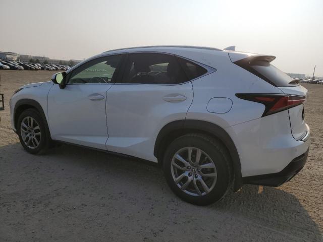  LEXUS NX 2019 Белы