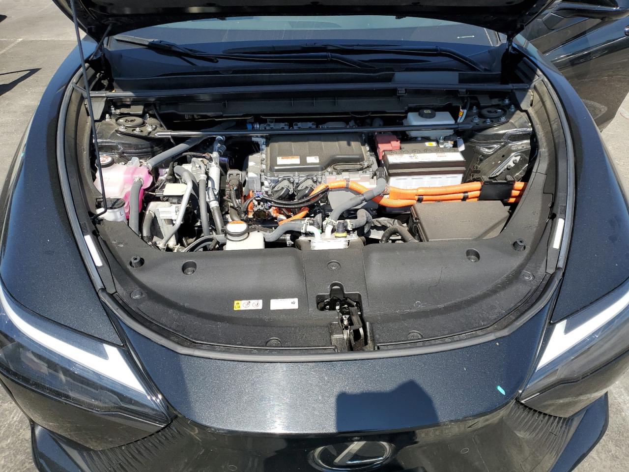 2024 Lexus Rz 300E VIN: JTJABABB0RA005934 Lot: 83820935