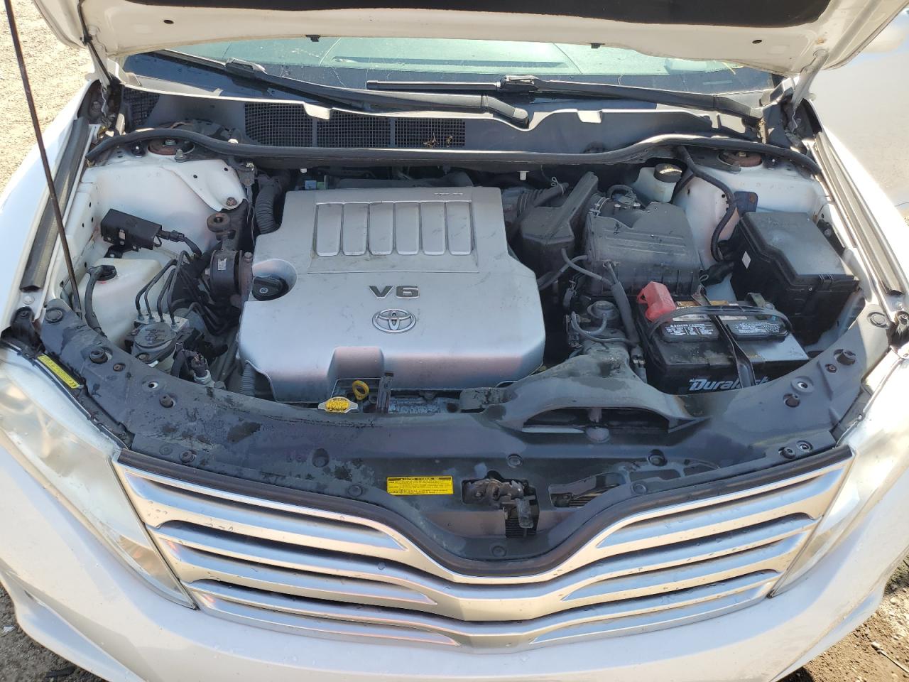 2010 Toyota Venza VIN: 4T3BK3BB1AU040345 Lot: 80941615