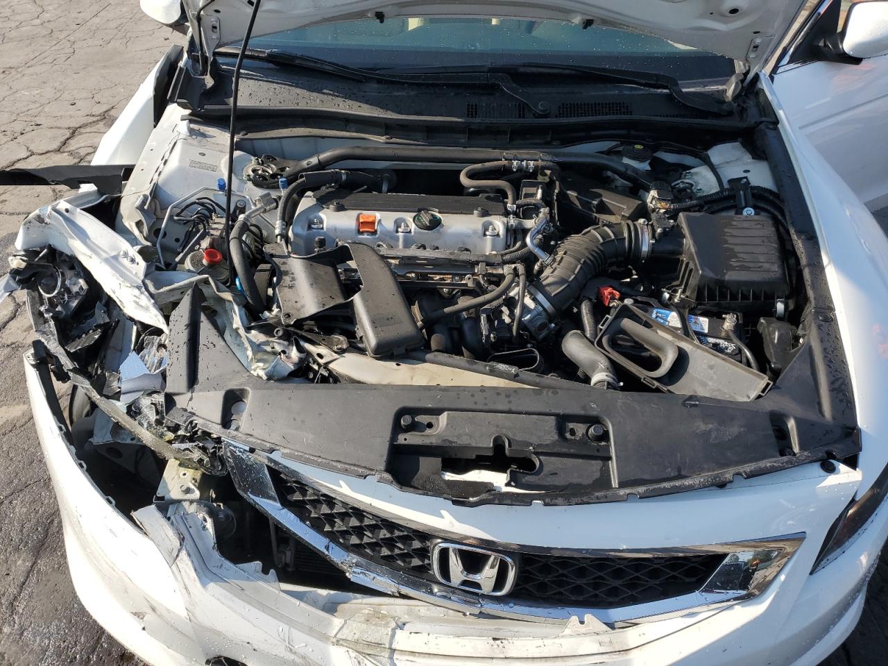 2010 Honda Accord Exl VIN: 1HGCS1B85AA009581 Lot: 80660615