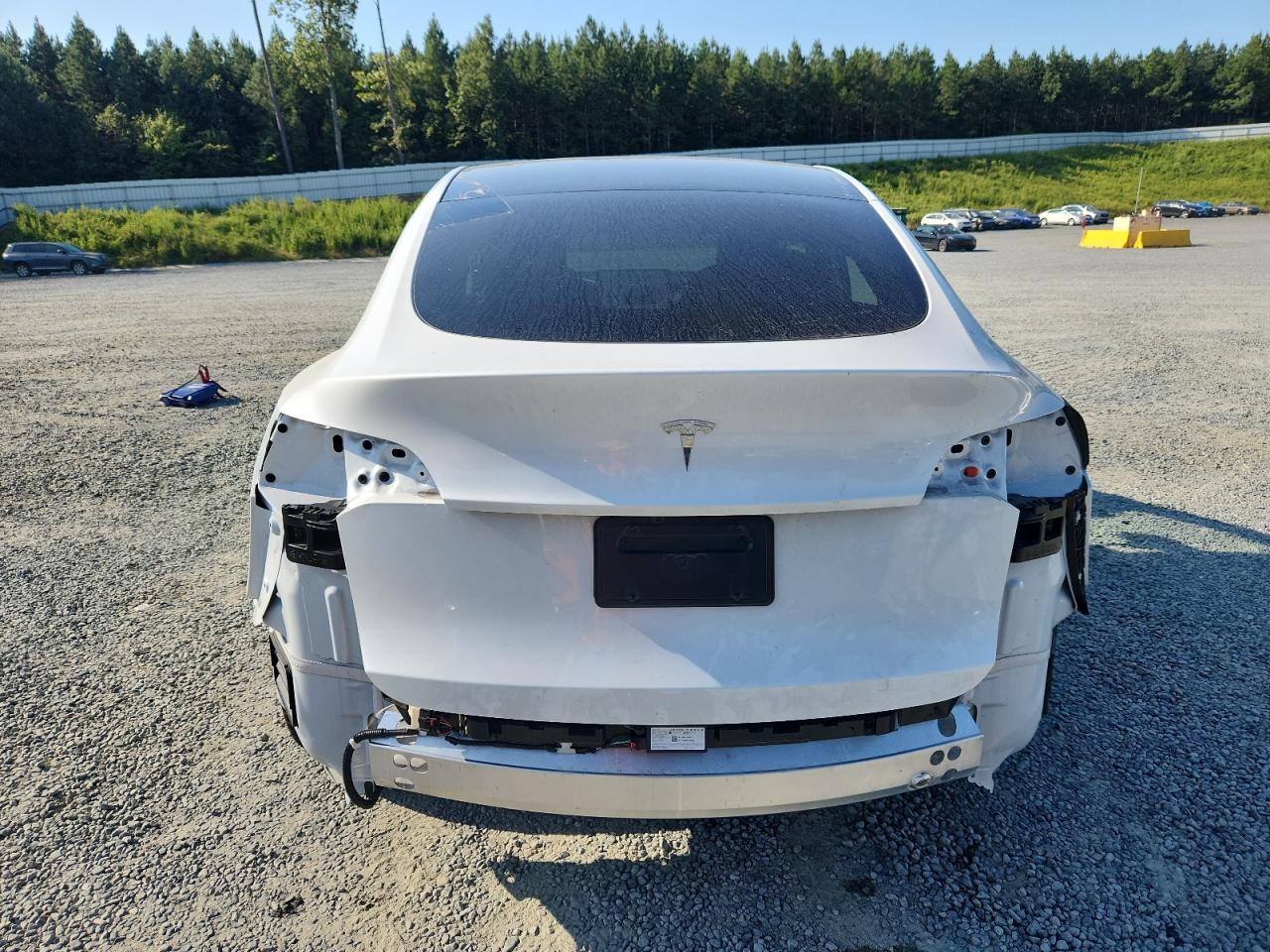 2025 Tesla Model Y VIN: 7SAYGDED4SA352889 Lot: 80346865