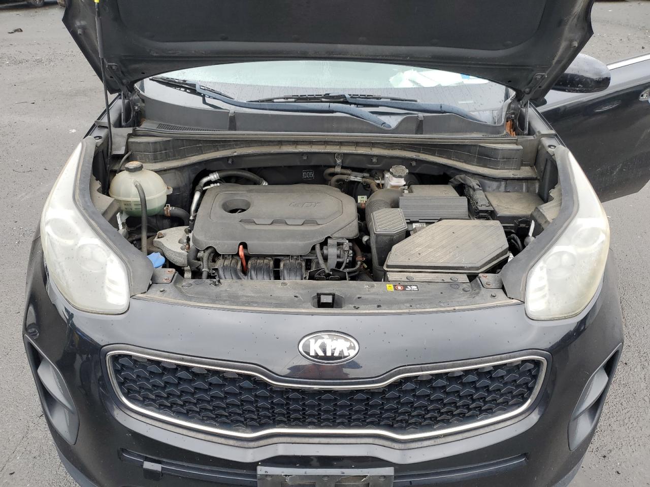 2018 Kia Sportage Lx VIN: KNDPM3AC4J7306317 Lot: 84191945