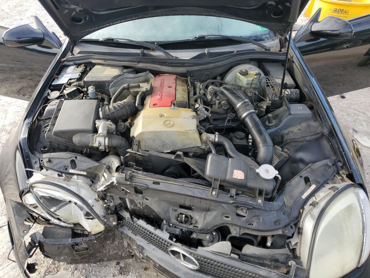 1998 Mercedes-Benz Slk 230 Kompressor VIN: WDBKK47F6WF003686 Lot: 71128885