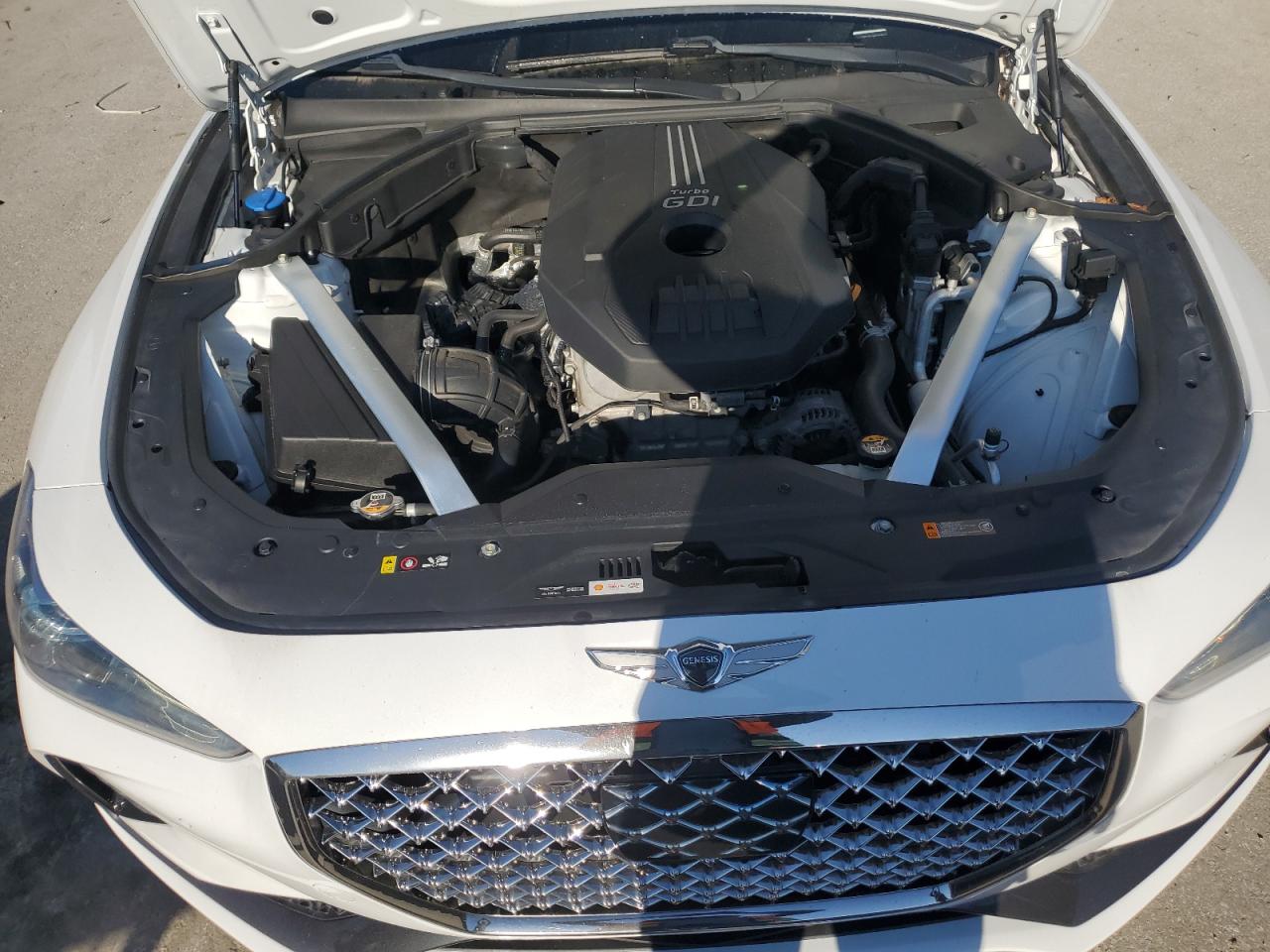 2019 Genesis G70 Prestige VIN: KMTG44LA8KU044310 Lot: 81029235