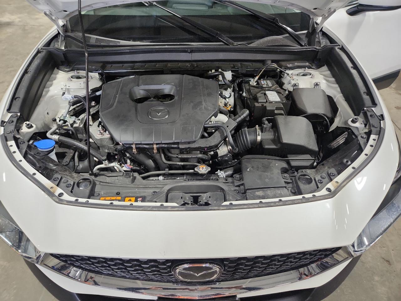 2025 Mazda Cx-30 VIN: 3MVDMBAM8SM766589 Lot: 81151465