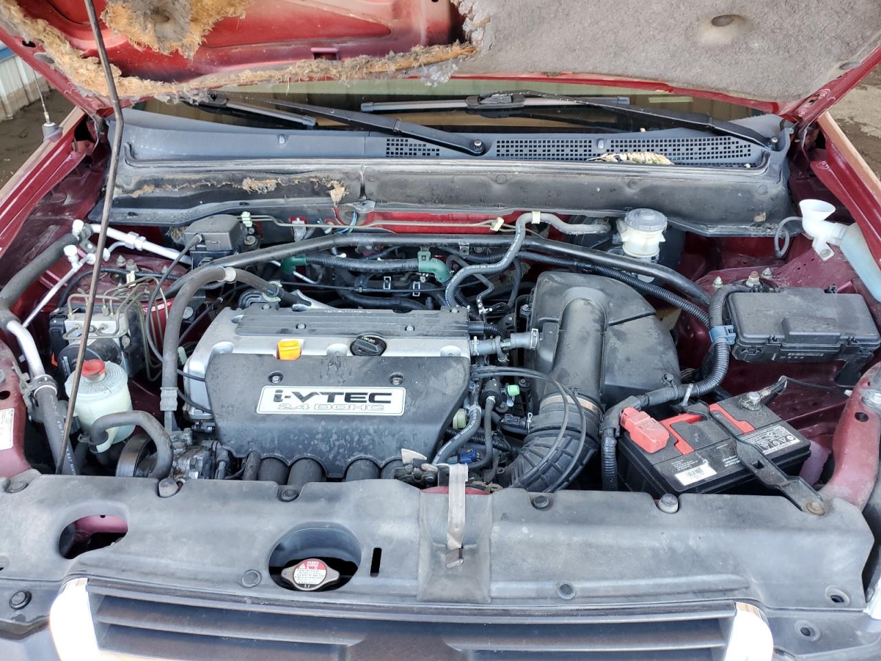 2004 Honda Cr-V Ex VIN: JHLRD78834C054205 Lot: 84246935