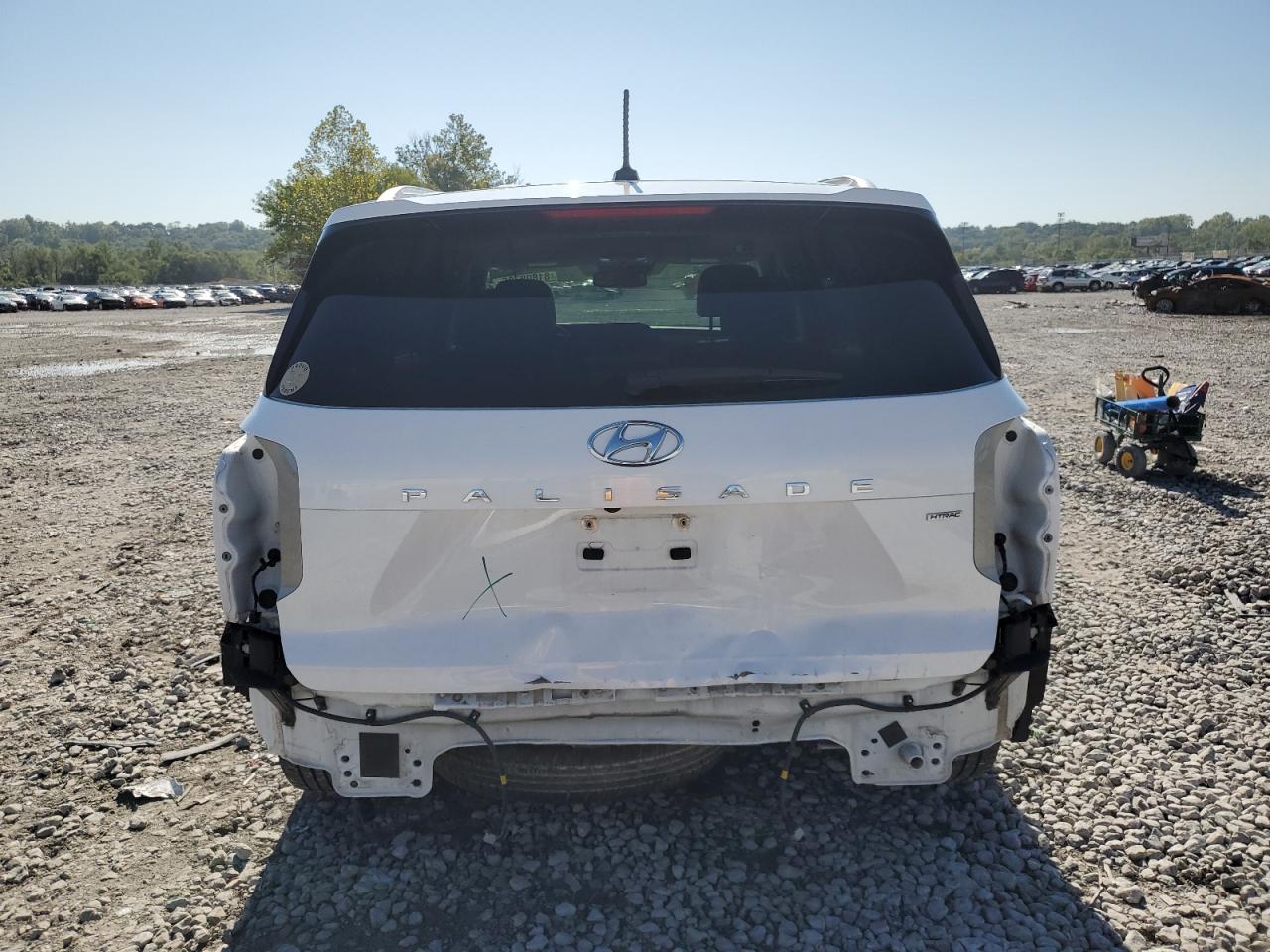 2020 Hyundai Palisade Sel VIN: KM8R3DHEXLU118880 Lot: 81808785