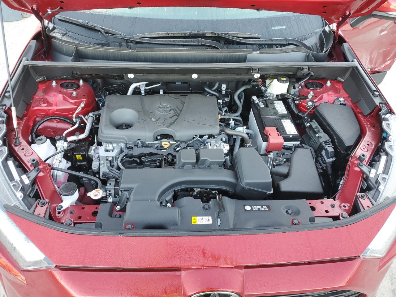 2025 Toyota Rav4 Xle VIN: 2T3W1RFVXSW398119 Lot: 84415275