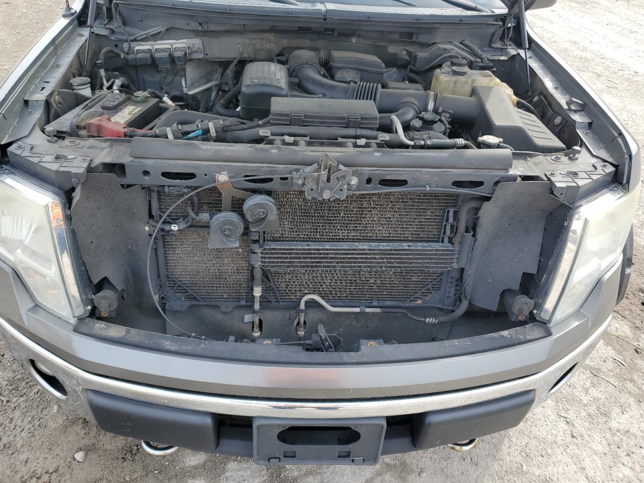 2010 Ford F150 Supercrew VIN: 1FTFW1EV0AFB79724 Lot: 81489655