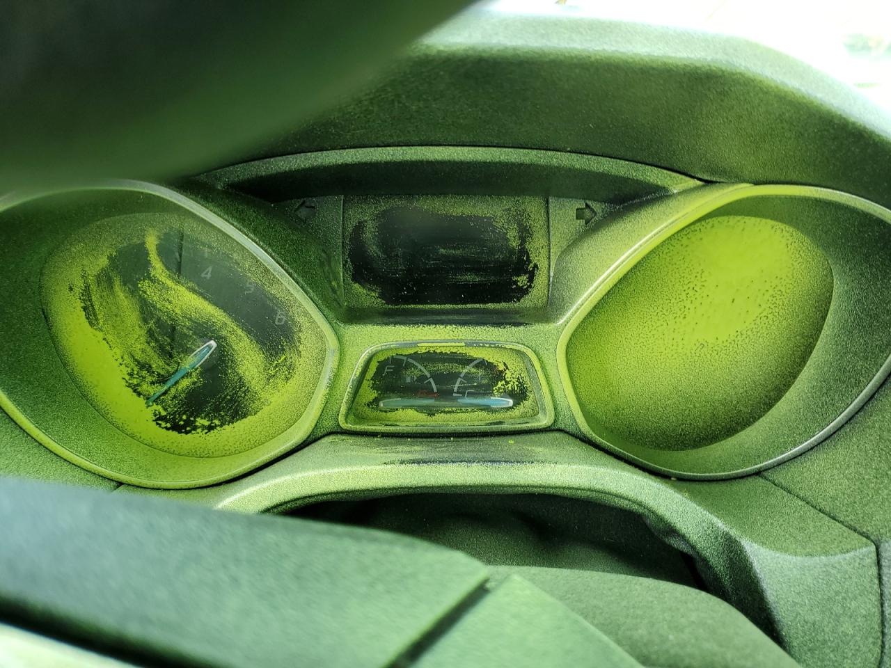 2014 Ford Focus Se VIN: 1FADP3F25EL364613 Lot: 95056825