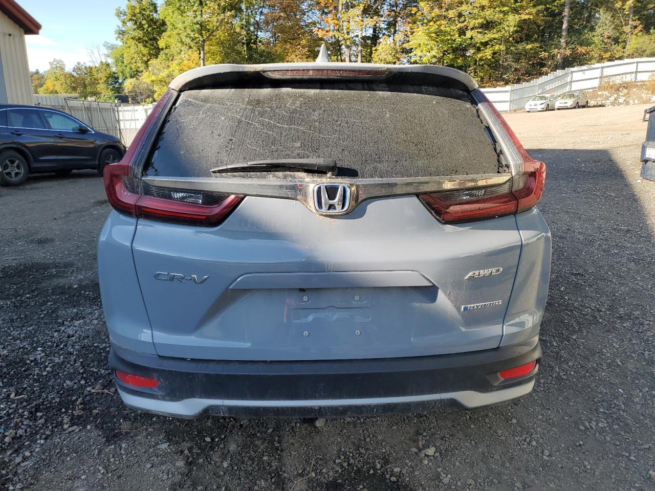 2022 Honda Cr-V Exl VIN: 5J6RT6H89NL020291 Lot: 81372185