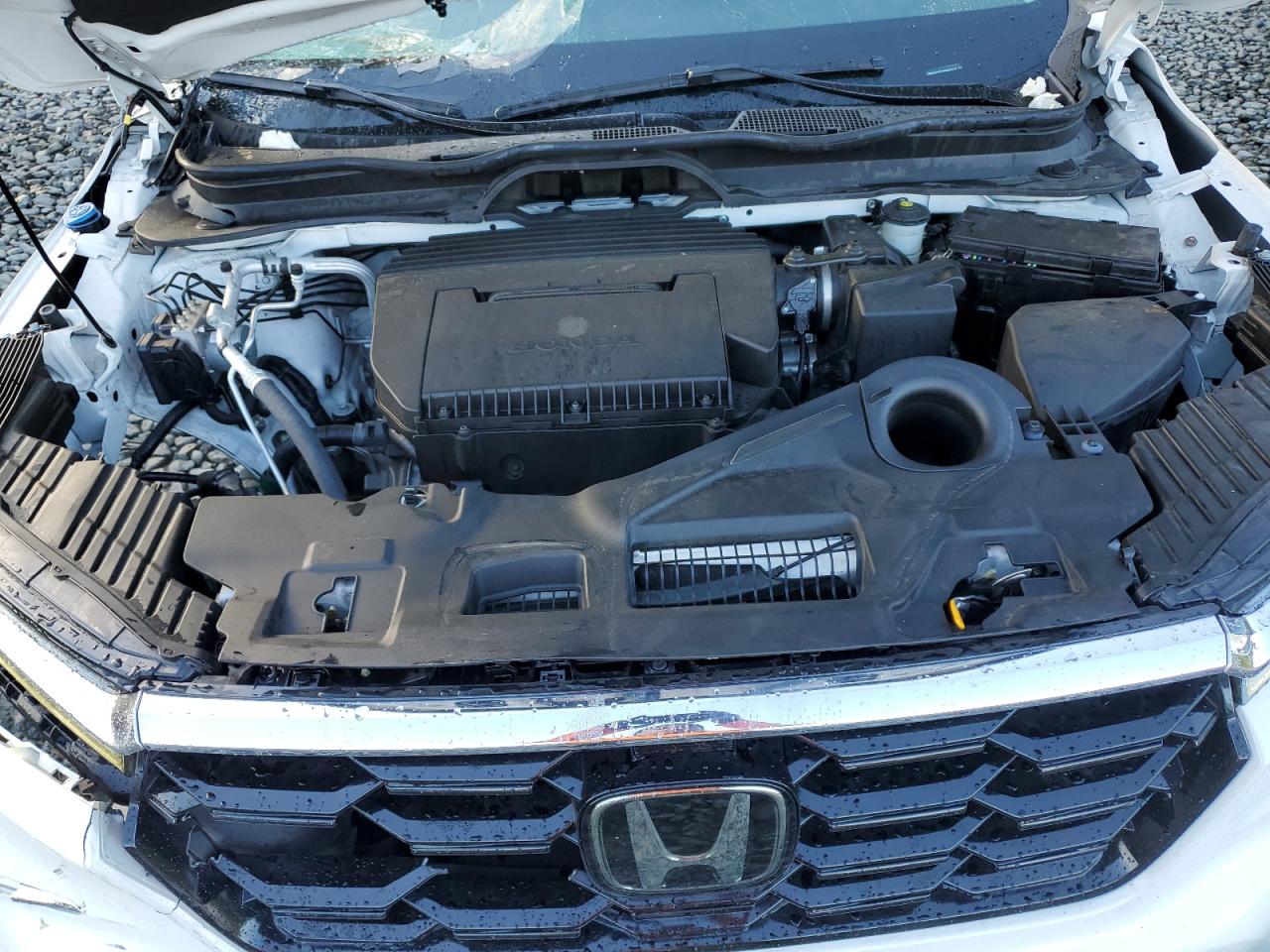 2024 Honda Pilot Touring VIN: 5FNYG2H77RB006694 Lot: 80000695