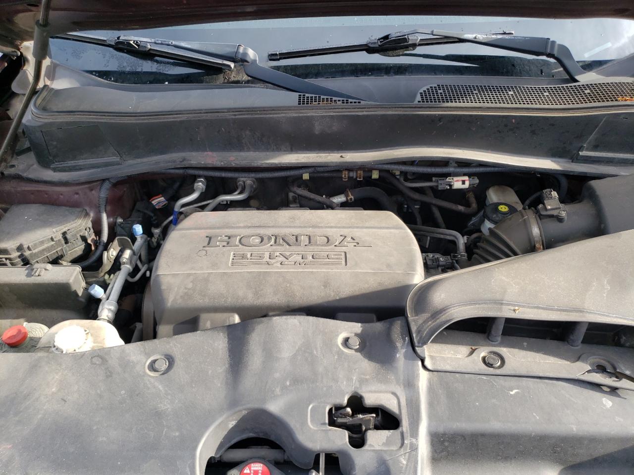 2011 Honda Pilot Exln VIN: 5FNYF4H77BB059609 Lot: 81896995