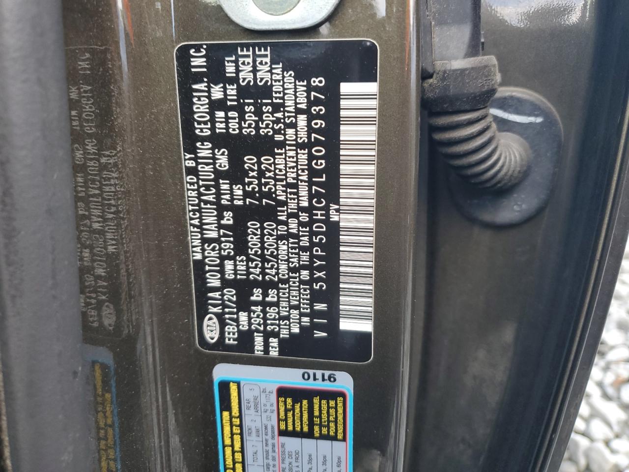 2020 Kia Telluride Sx VIN: 5XYP5DHC7LG079378 Lot: 81420375