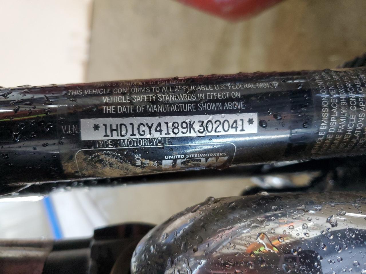 2009 Harley-Davidson Fxdf VIN: 1HD1GY4189K302041 Lot: 80832825