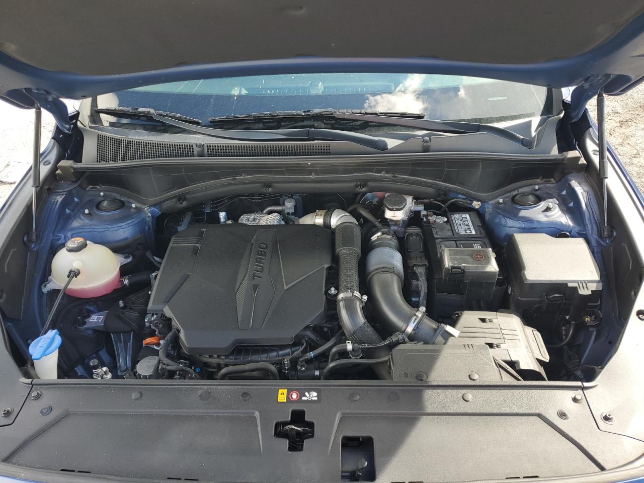 2022 Hyundai Santa Fe Limited VIN: 5NMS44AL8NH423011 Lot: 81460905