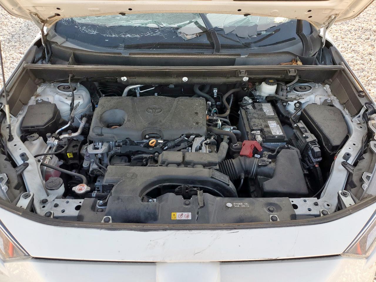 2021 Toyota Rav4 Xle Premium VIN: 2T3C1RFV4MW151202 Lot: 80010555