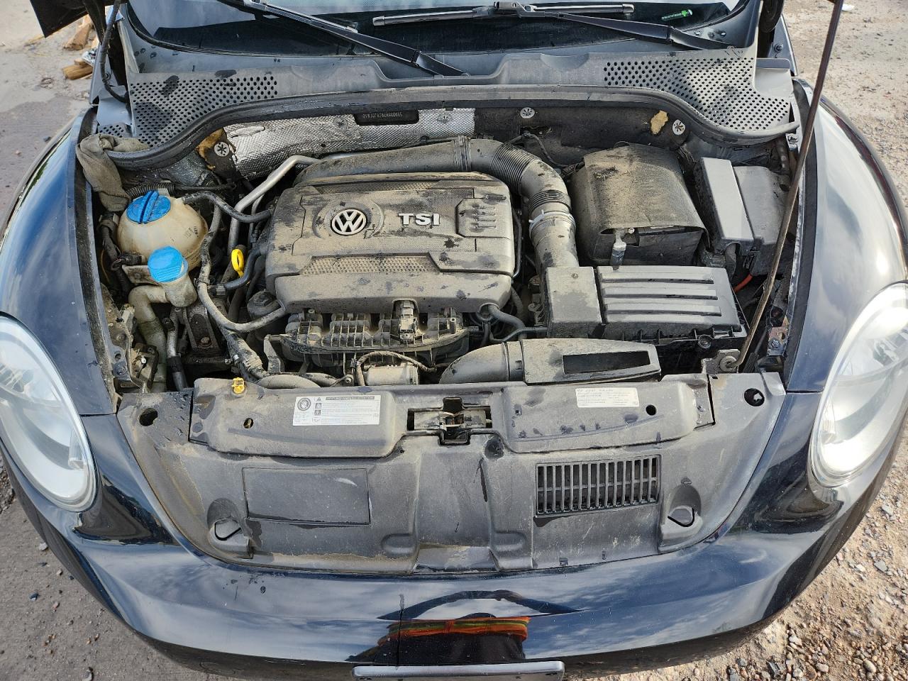 2014 Volkswagen Beetle VIN: 3VWJ07AT8EM660665 Lot: 80188155