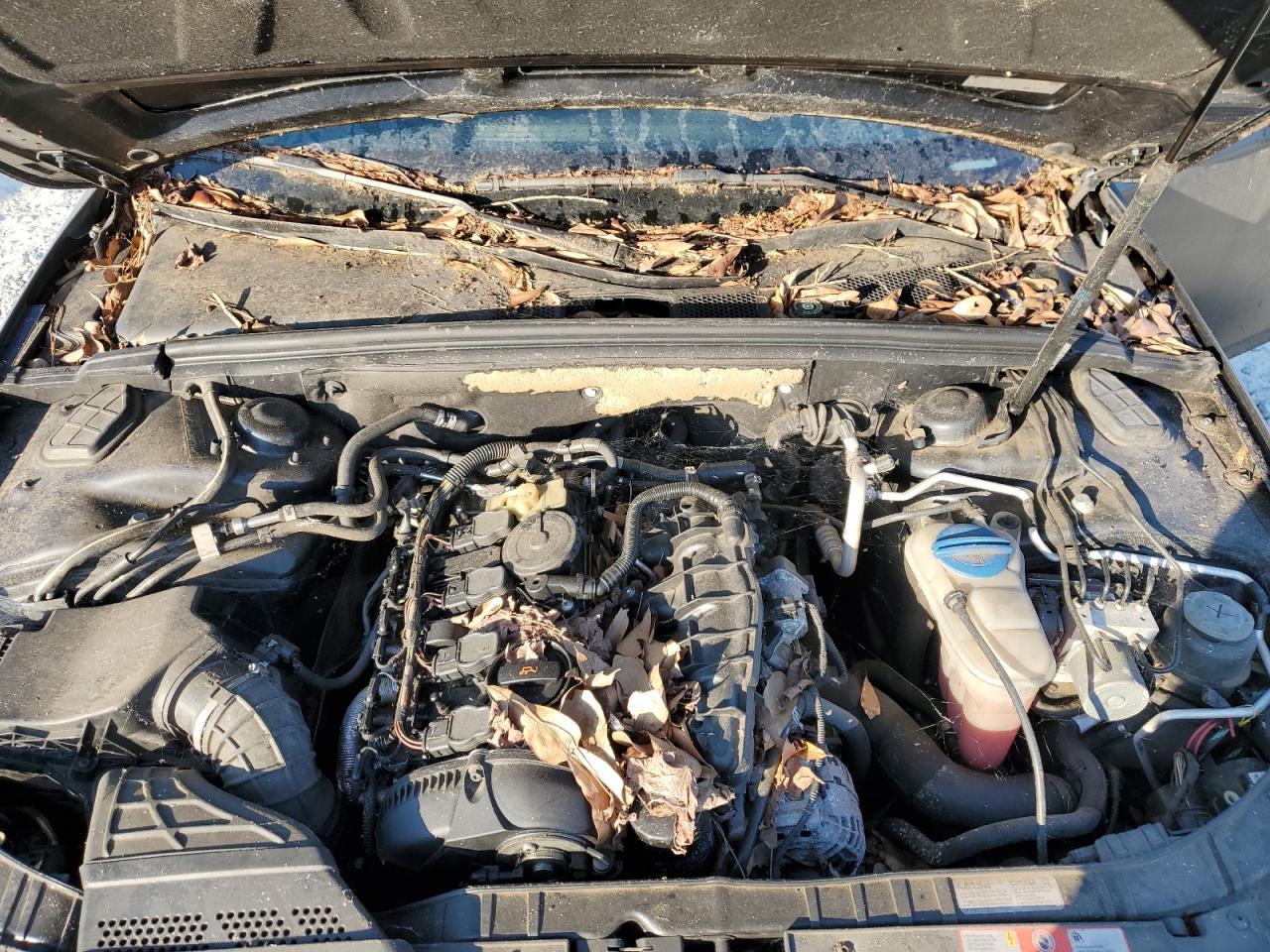 2010 Audi A4 Premium VIN: WAUAFAFL8AN038118 Lot: 80147805