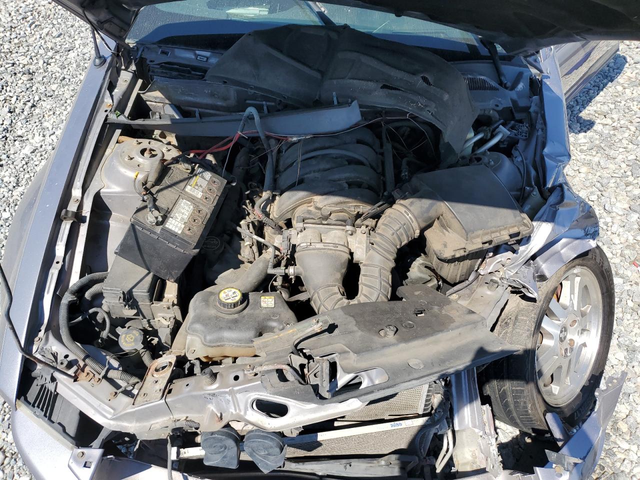 2006 Ford Mustang Gt VIN: 1ZVFT82H765261248 Lot: 80435955