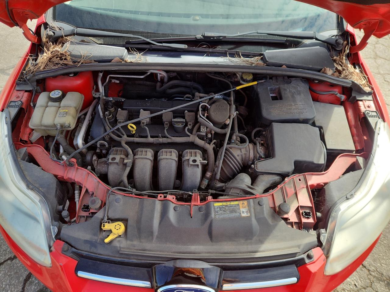 2012 Ford Focus Sel VIN: 1FAHP3H25CL210611 Lot: 84192085