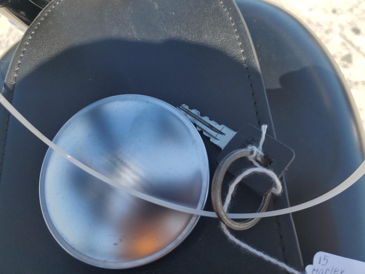 2015 Harley-Davidson Xl883 Iron 883 VIN: 1HD4LE215FC425070 Lot: 71064275