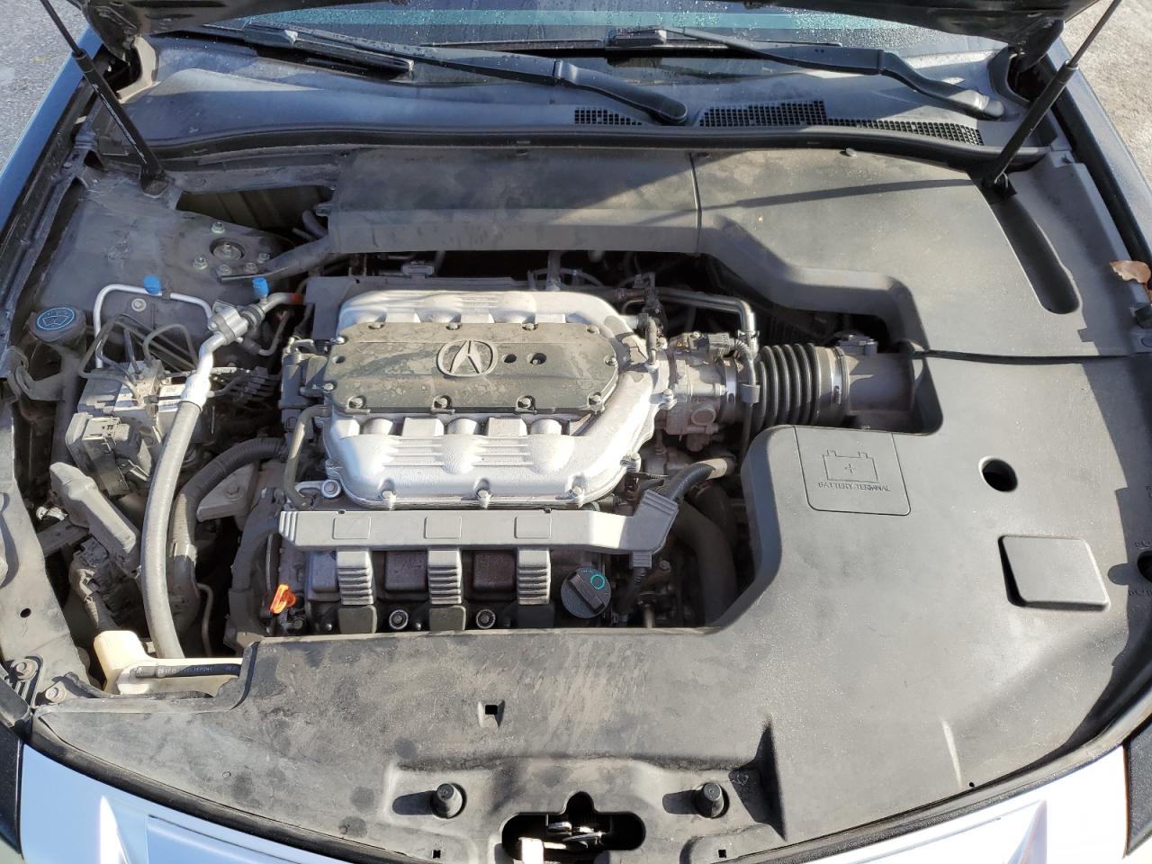 2010 Acura Tl VIN: 19UUA8F2XAA021683 Lot: 81273815