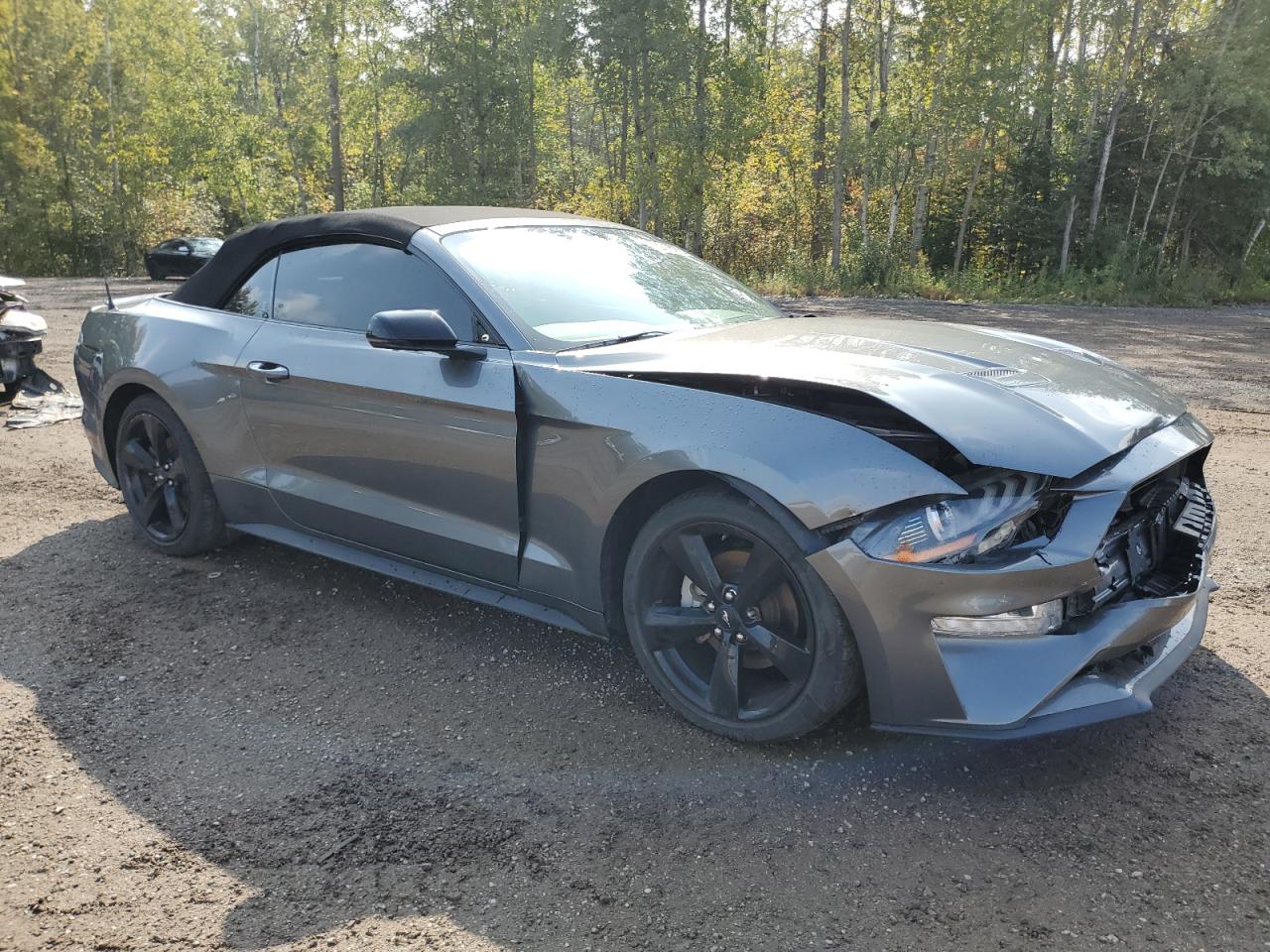 2022 Ford Mustang VIN: 1FATP8UH1N5114807 Lot: 82098975