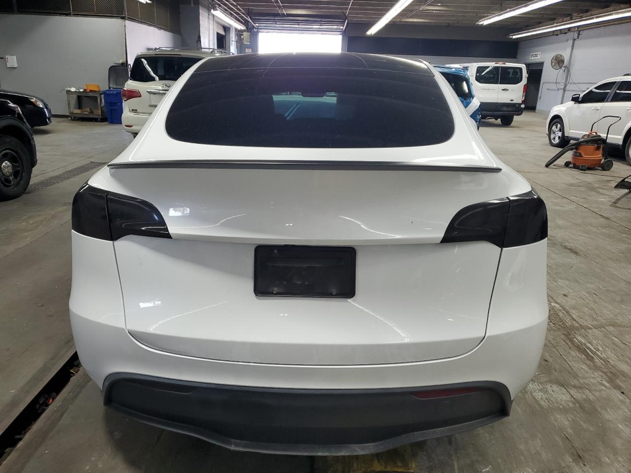 2023 Tesla Model Y VIN: 7SAYGDEF5PF807728 Lot: 81274505