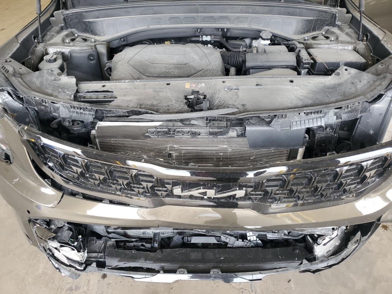 2024 Kia Telluride Sx VIN: 5XYP5DGC3RG501740 Lot: 71497475