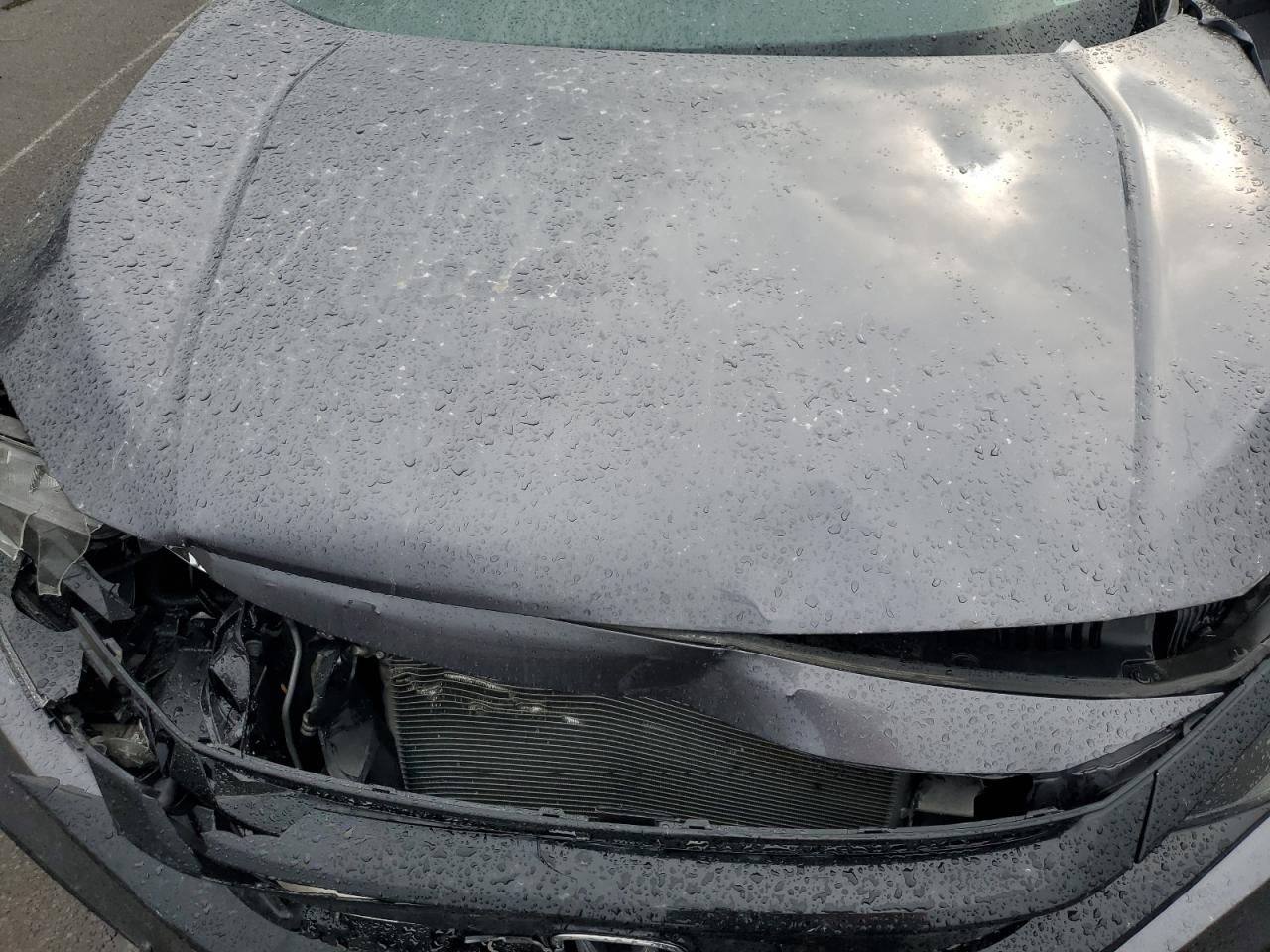 2019 Honda Civic Sport VIN: 2HGFC2F87KH500375 Lot: 81638215